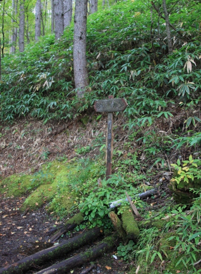 20121006kisokoma-008.jpg