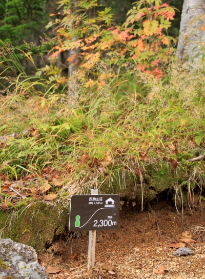 20121006kisokoma-013.jpg