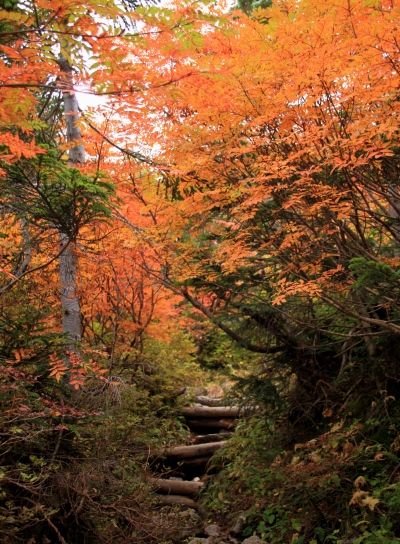 20121006kisokoma-017.jpg