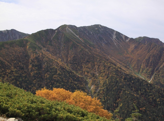 20121006kisokoma-019.jpg