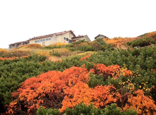 20121006kisokoma-020.jpg