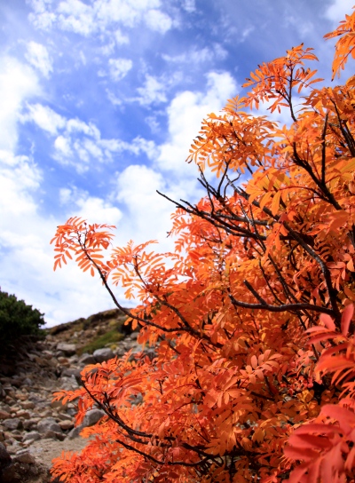 20121006kisokoma-022.jpg