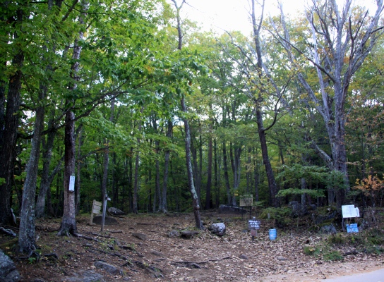 20121013kinpu-001.jpg