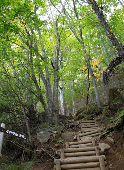 20121013kinpu-003.jpg