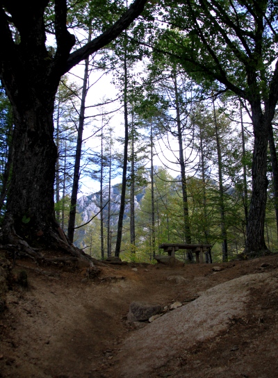 20121013kinpu-004.jpg