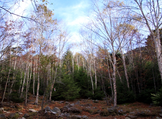 20121013kinpu-011.jpg