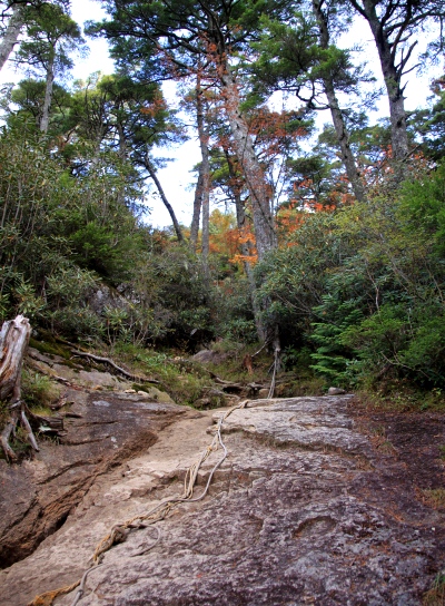 20121013kinpu-012.jpg