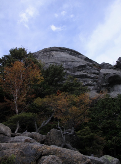 20121013kinpu-013.jpg