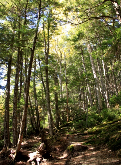 20121013kinpu-025.jpg