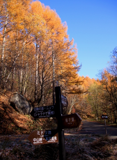 20121103shirakoma-003.jpg