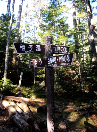 20121103shirakoma-007.jpg