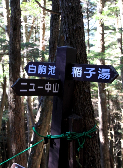 20121103shirakoma-009.jpg