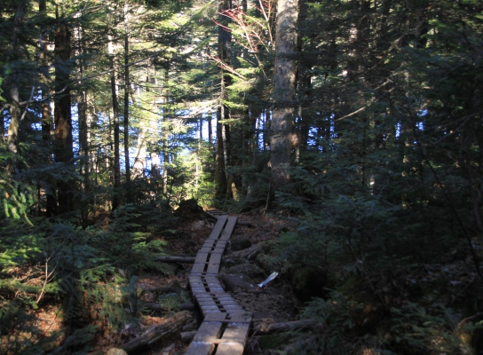 20121103shirakoma-010.jpg
