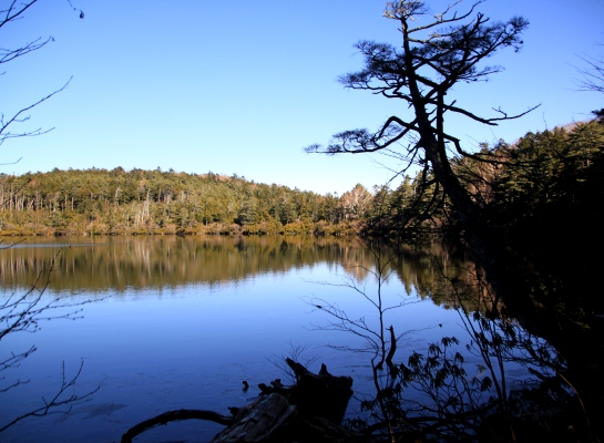20121103shirakoma-012.jpg