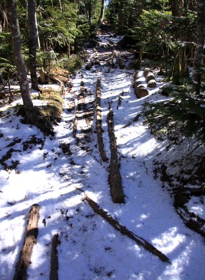 20121103shirakoma-019.jpg