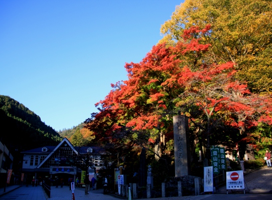 20121128takaosan-001.jpg