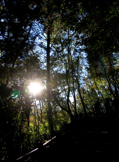 20121128takaosan-003.jpg