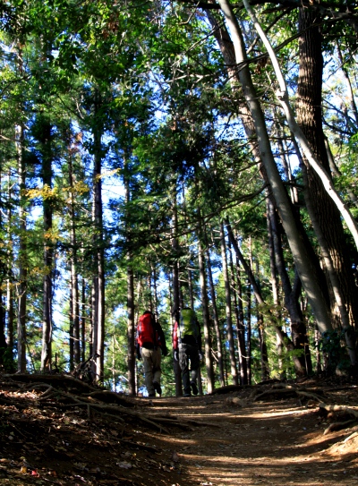 20121128takaosan-004.jpg