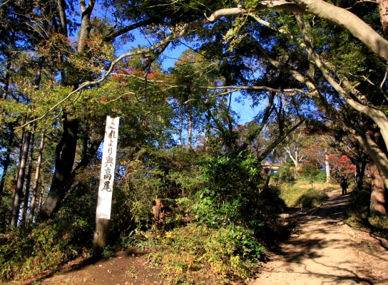 20121128takaosan-007.jpg