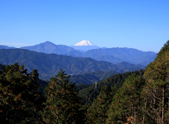 20121128takaosan-008.jpg