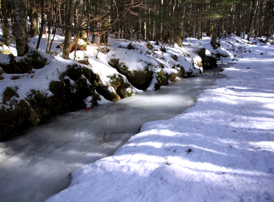 20130112akadakekousen-006.jpg