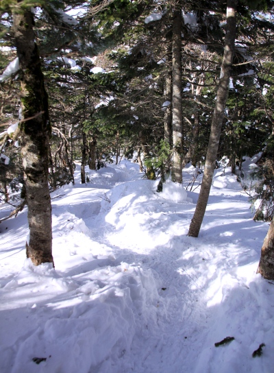 20130113yatugatake-032.jpg