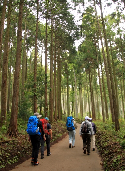 20130518tounodake-002.jpg