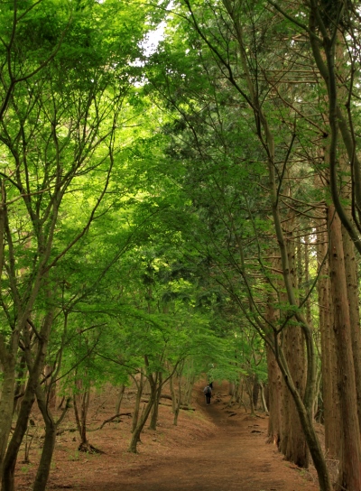 20130518tounodake-003.jpg