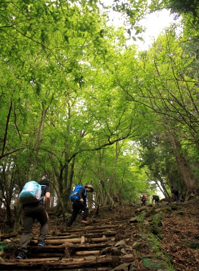 20130518tounodake-004.jpg