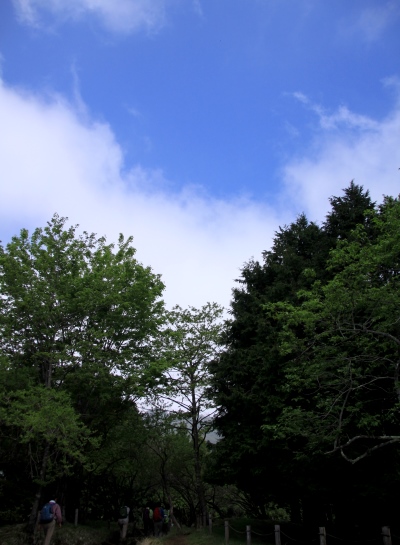 20130518tounodake-006.jpg