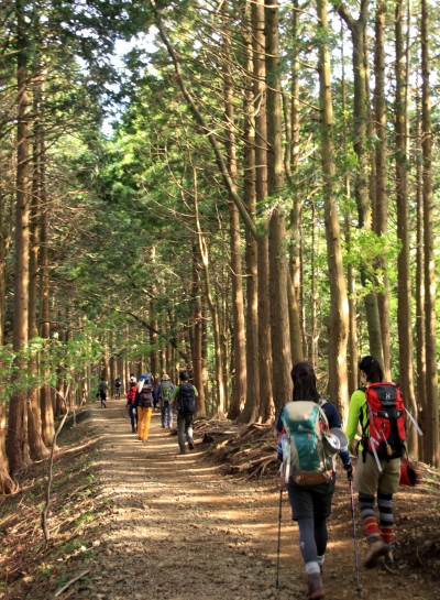 20130518tounodake-021.jpg