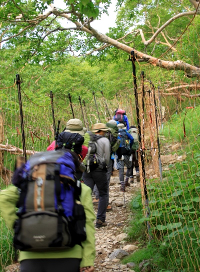 20130727senjyo-025.jpg