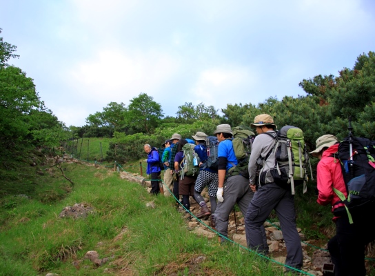 20130727senjyo-026.jpg