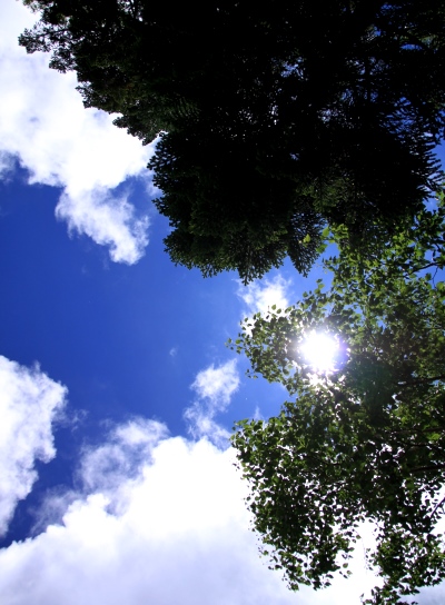 20130727senjyo-047.jpg