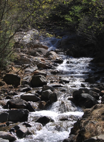 20131012yatugatake-008.jpg
