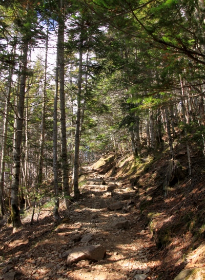 20131012yatugatake-015.jpg