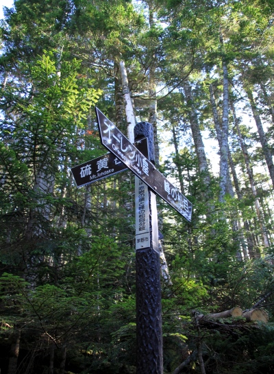 20131012yatugatake-021.jpg