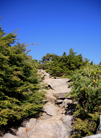 20131013yatu-015.jpg