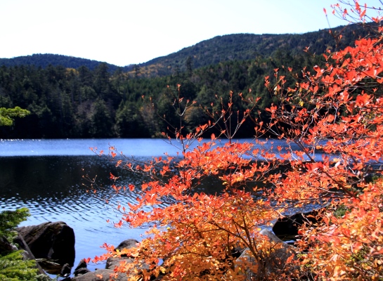 20131013yatu-018.jpg