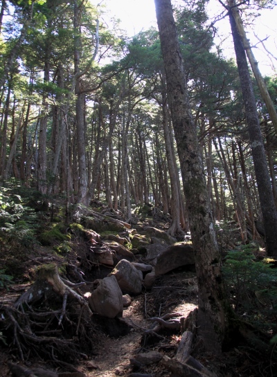 20131013yatu-021.jpg