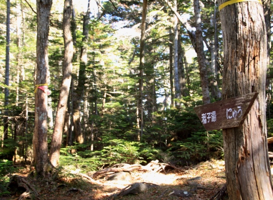 20131013yatu-024.jpg