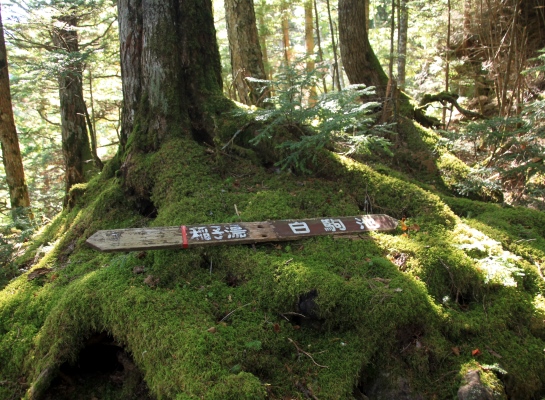 20131013yatu-026.jpg