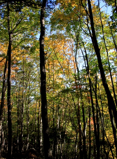 20131013yatu-027.jpg