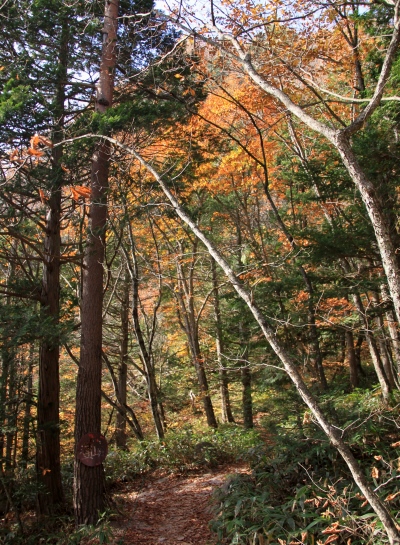 20131101tubakuro-002.jpg