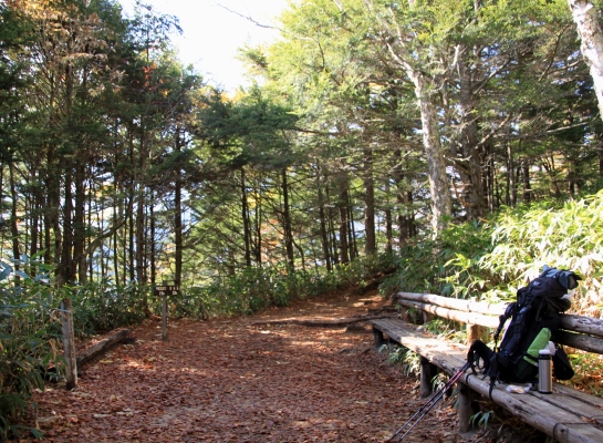 20131101tubakuro-005.jpg