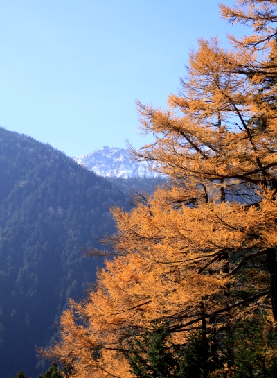 20131101tubakuro-006.jpg