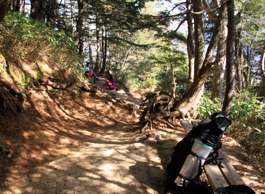 20131101tubakuro-008.jpg