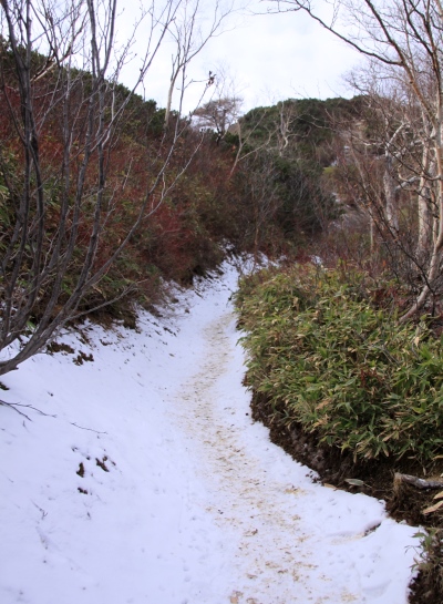 20131101tubakuro-010.jpg
