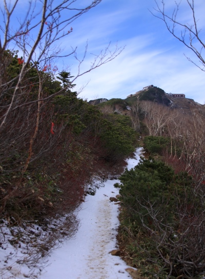 20131101tubakuro-012.jpg