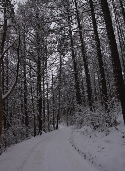 20131221yatugatake-003.jpg